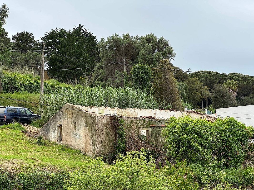 Moradia T0 à venda em Sintra (Santa Maria e São Miguel, São Martinho e São Pedro de Penaferrim), Sintra — foto 20