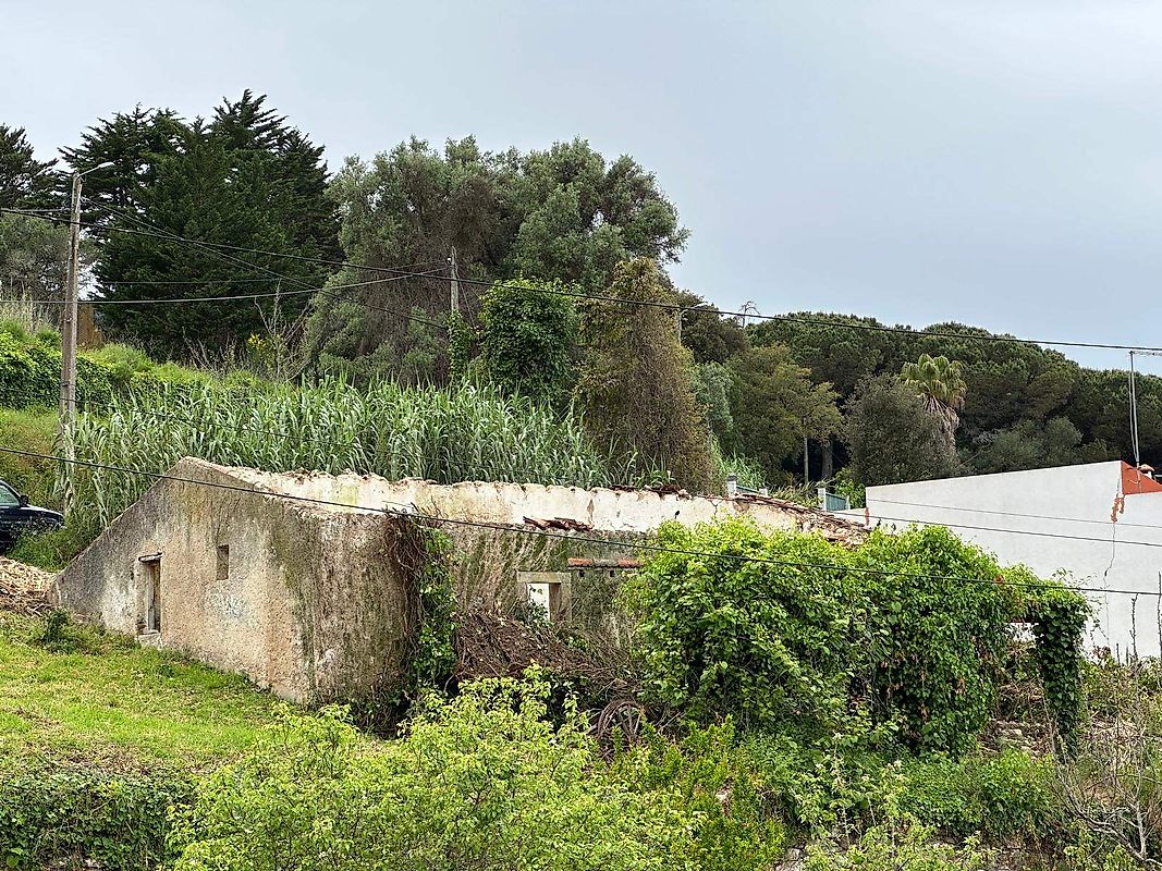 Moradia T0 à venda em Sintra (Santa Maria e São Miguel, São Martinho e São Pedro de Penaferrim), Sintra — foto 6