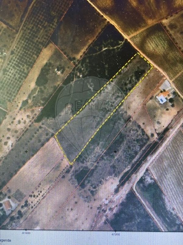 Terreno - Almoster, Santarém, Santarém