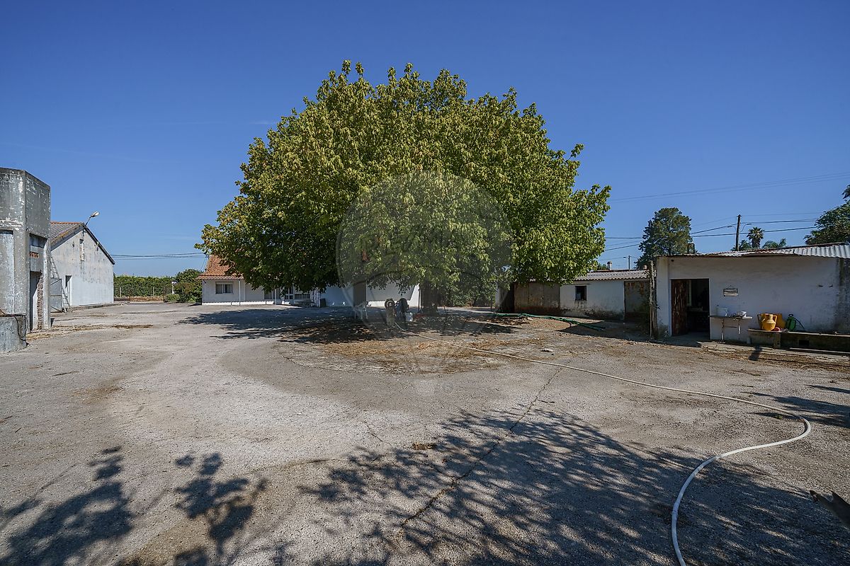 Quinta - Pegões, Montijo, Setúbal