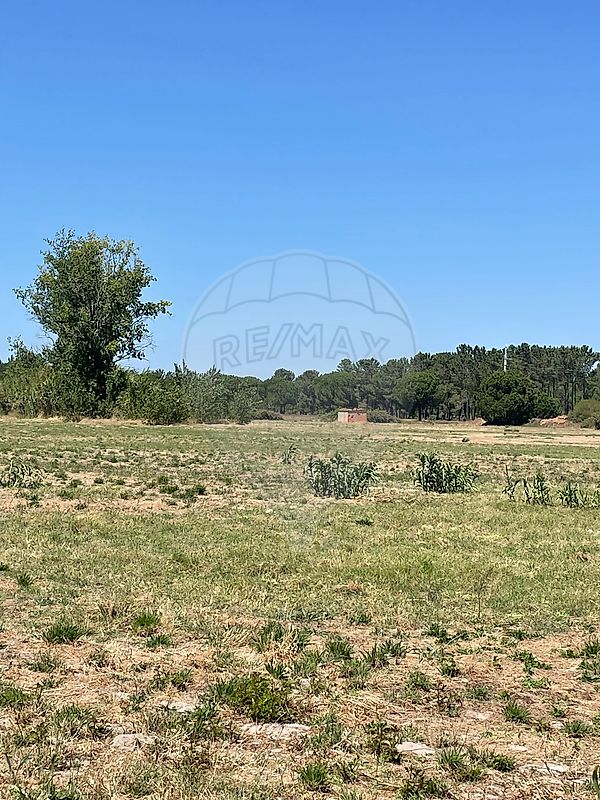 listing-picture-0