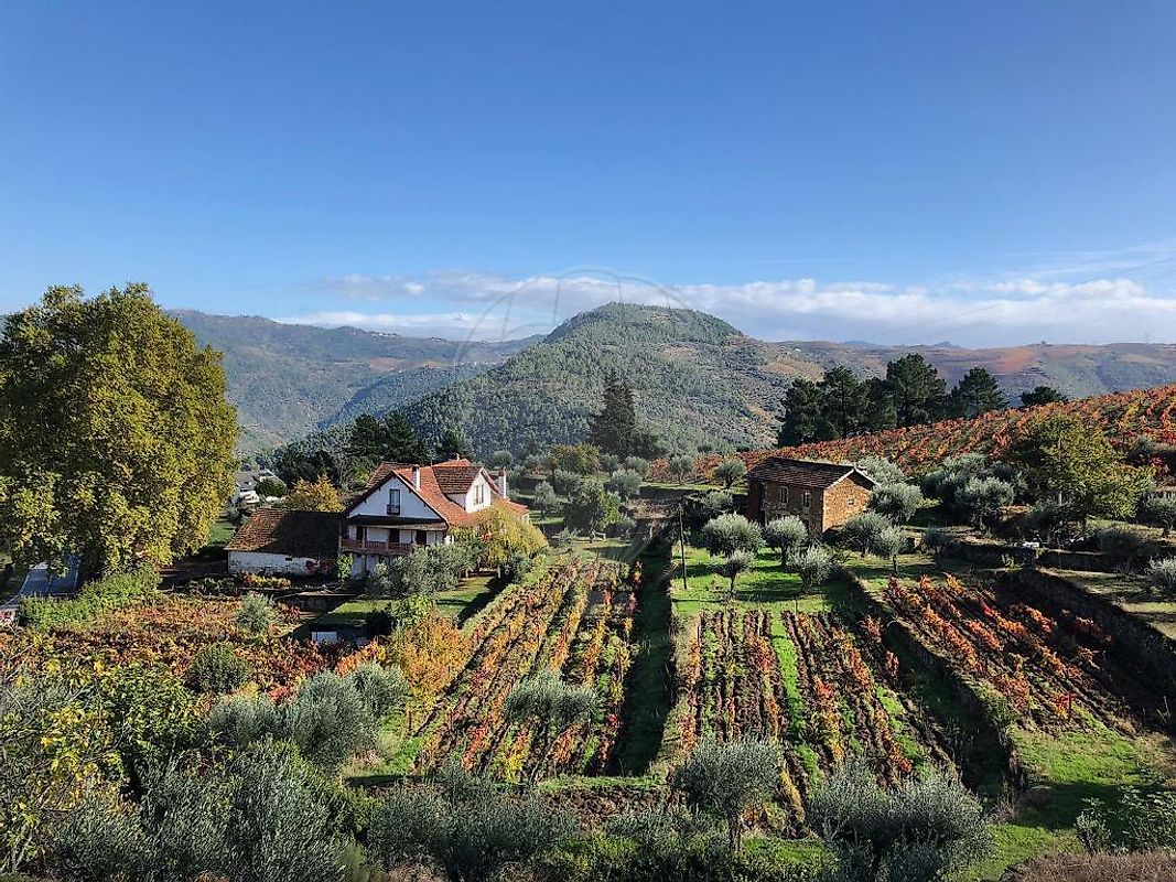 Terreno para venda