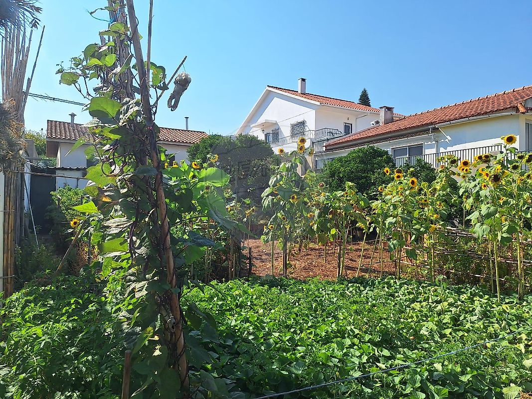 Terreno para venda