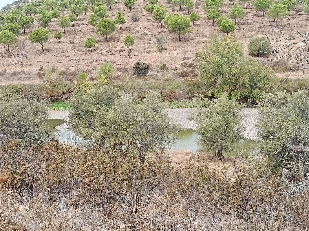 Terreno - Martim Longo, Alcoutim, Faro