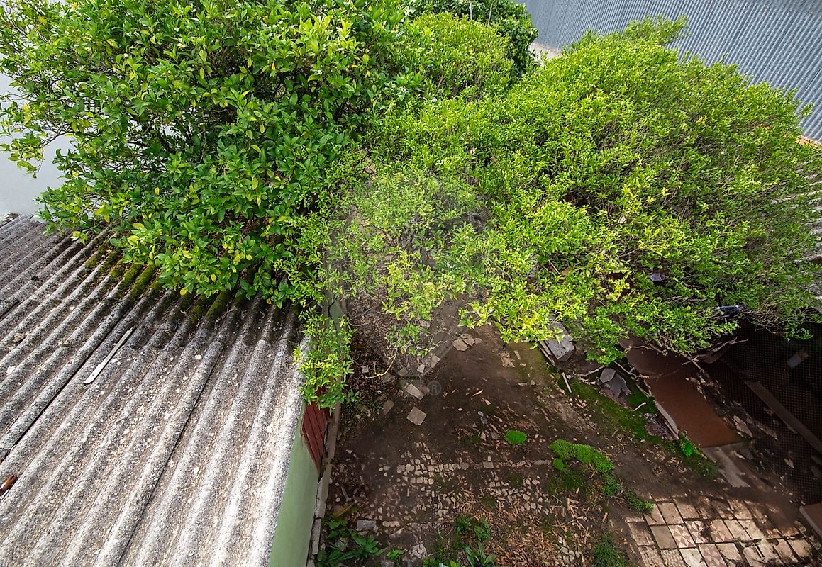 listing 120181165-369 picture-0