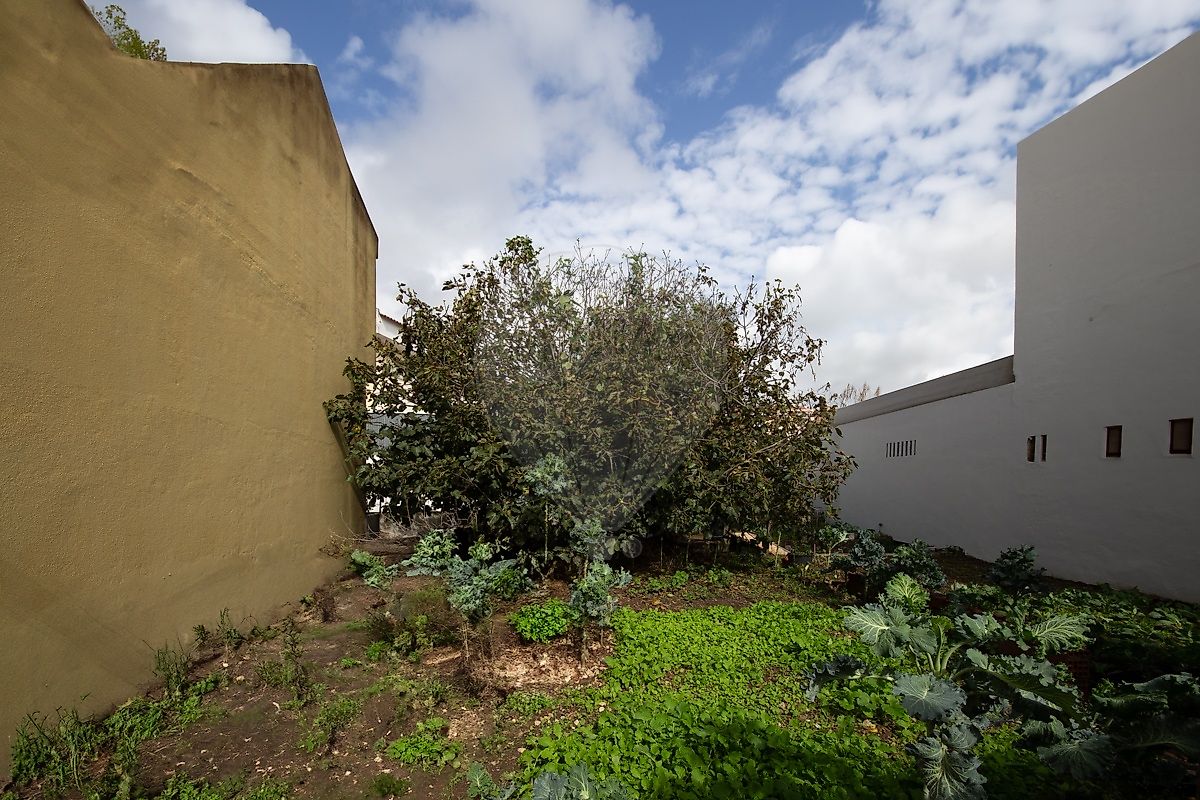 listing 120181165-369 picture-0