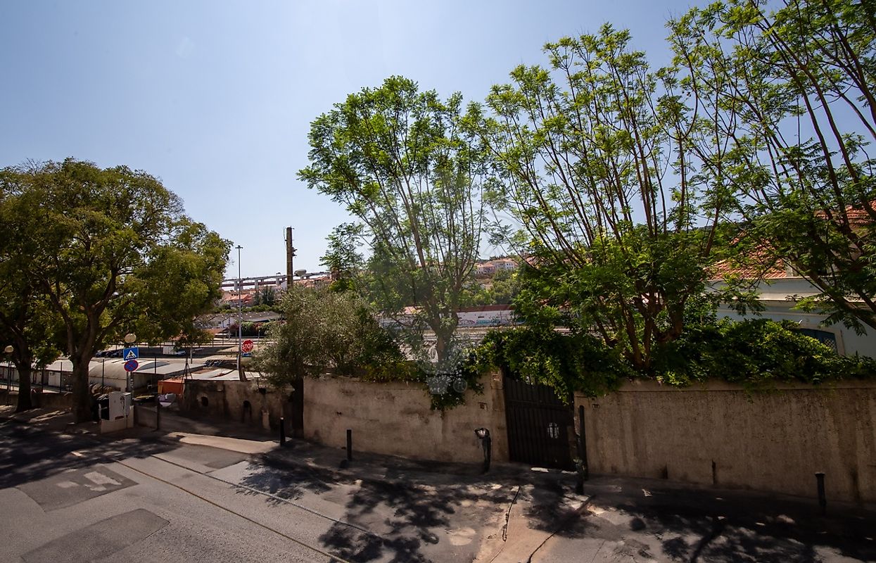 listing 120181165-383 picture-0