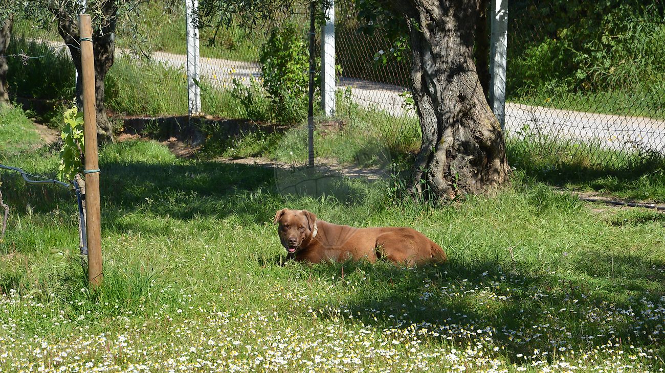 Moradia T4 à venda em Vale do Paraíso, Azambuja — foto 22