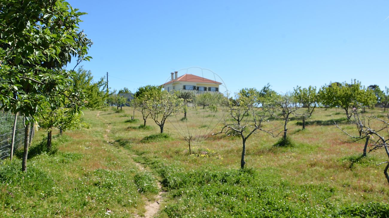 Moradia T4 à venda em Vale do Paraíso, Azambuja — foto 20