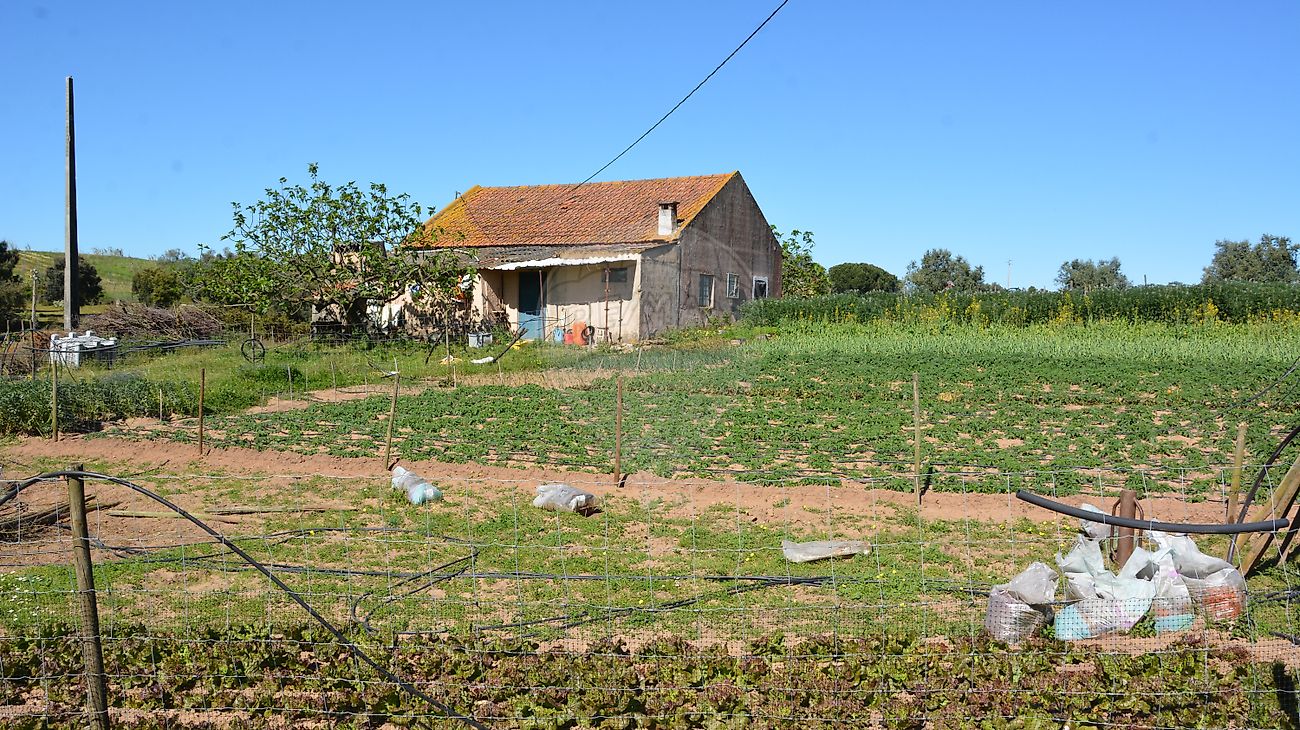 Moradia T4 à venda em Vale do Paraíso, Azambuja — foto 18
