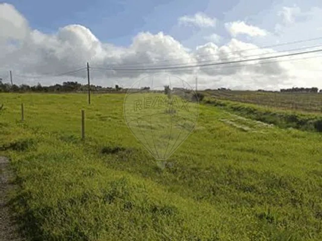 Land for sale in Reguengos de Monsaraz, Portugal — €130,000