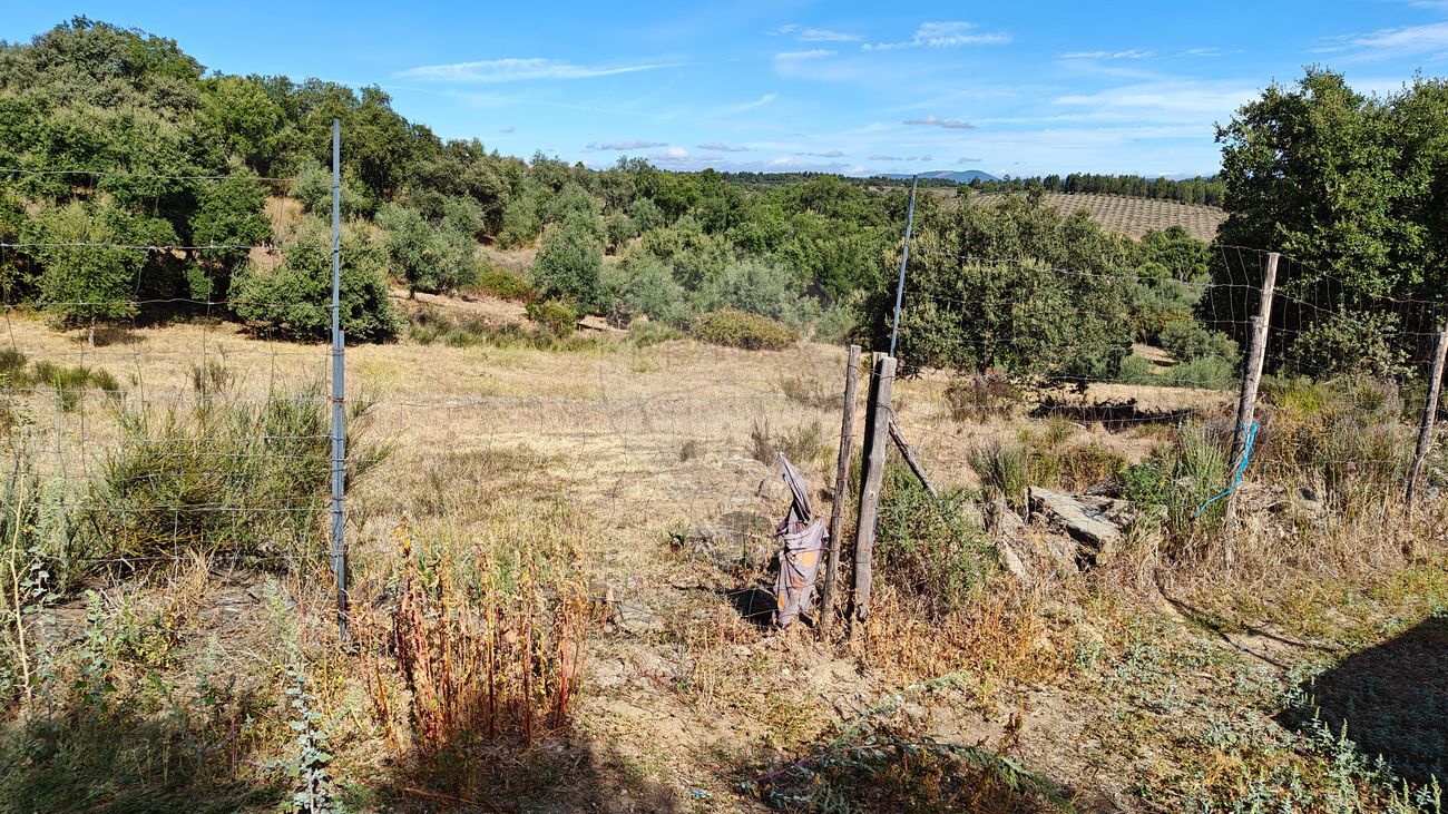 Terreno para venda