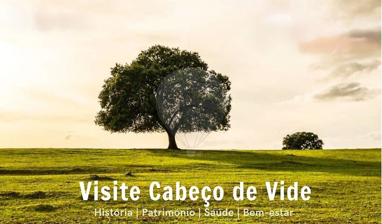 Moradia T4 à venda em Cabeço de Vide, Fronteira — foto 35