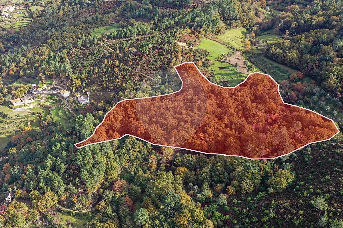 Apartamento à venda em Montalegre