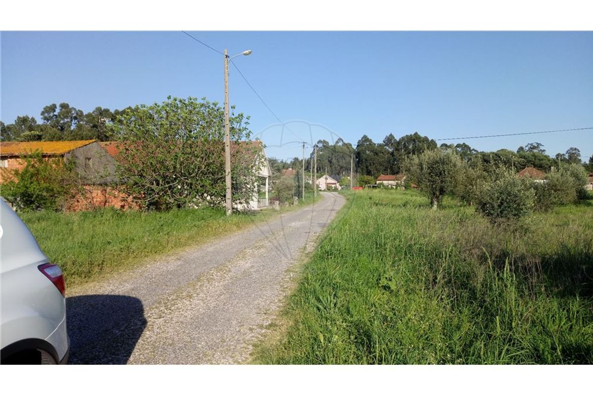 Terreno em Barracão Meirinhas