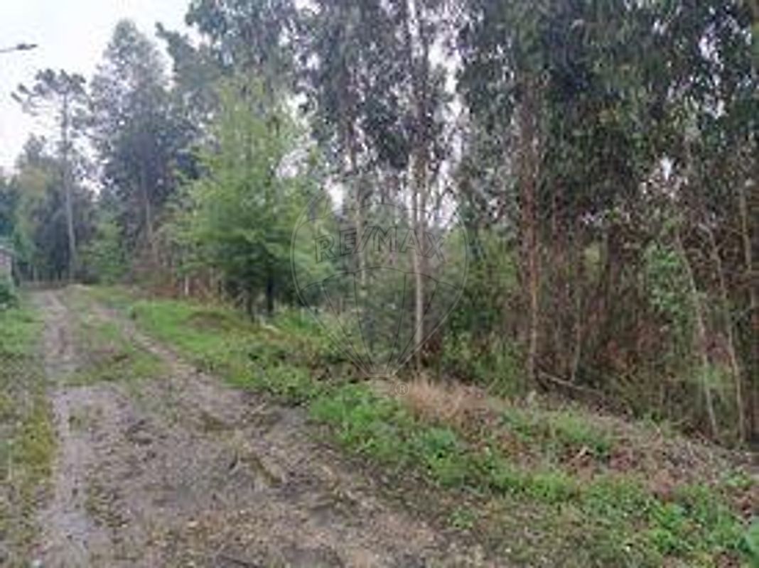 Land for sale in Soure, Portugal — €135,000