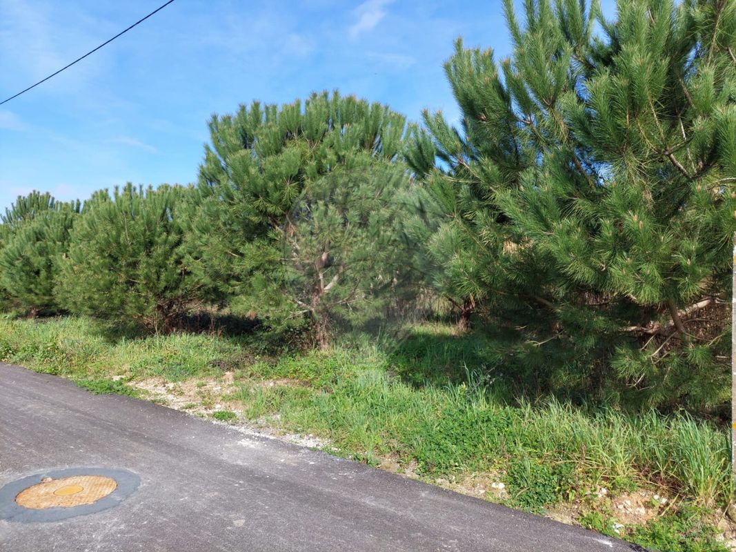 listing 124631126-1 picture-0