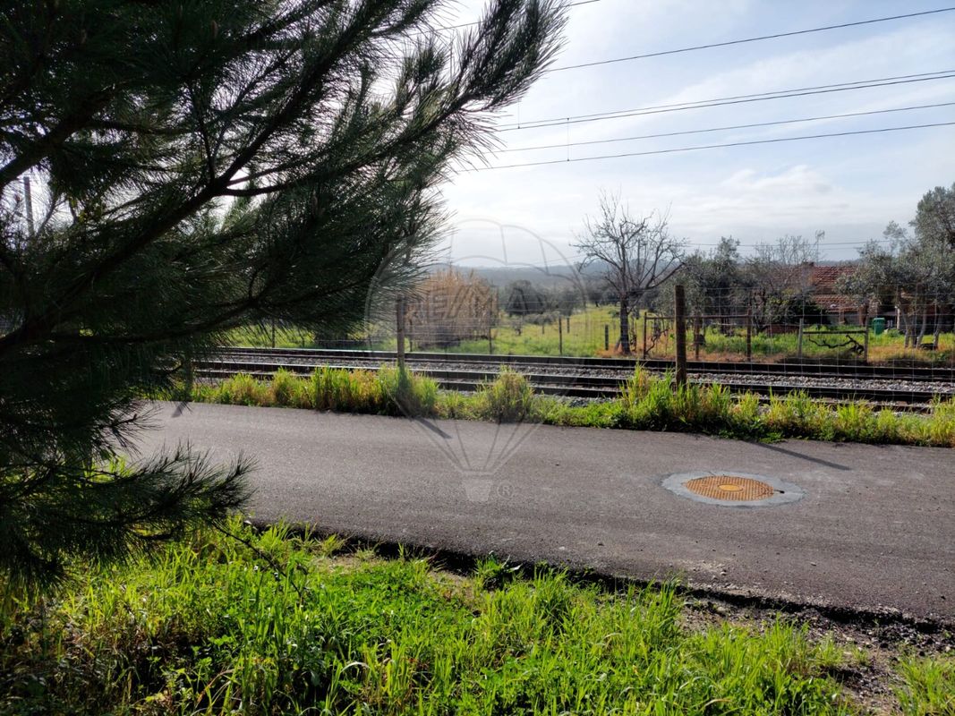 listing 124631126-1 picture-0