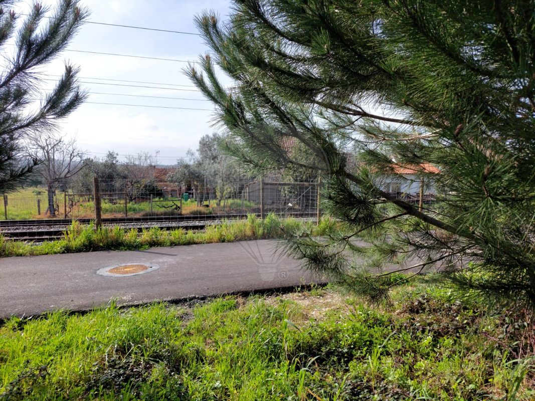 listing 124631126-1 picture-0
