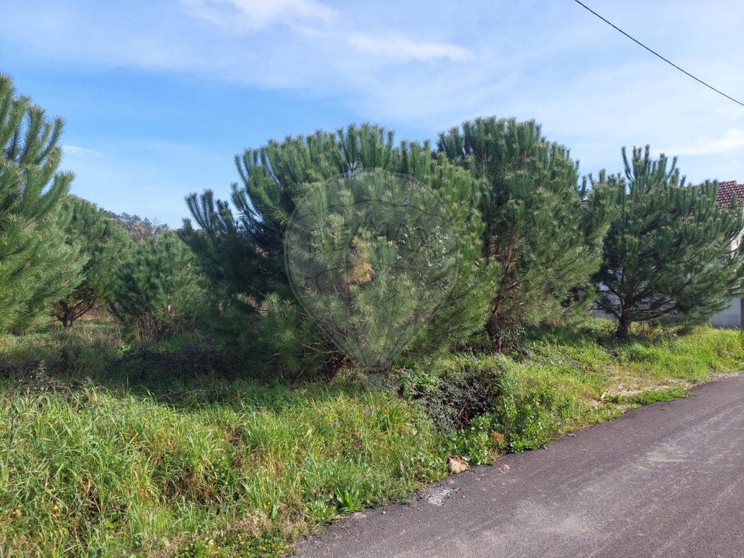 listing 124631126-1 picture-0