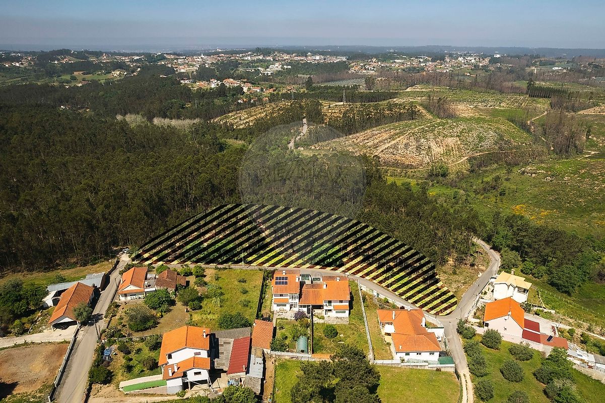 Terreno à venda em Santa Eufemia