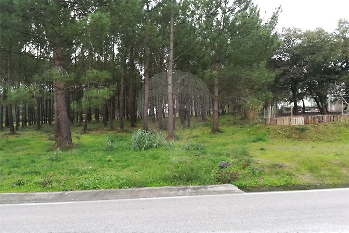 Terreno à venda em Leiria