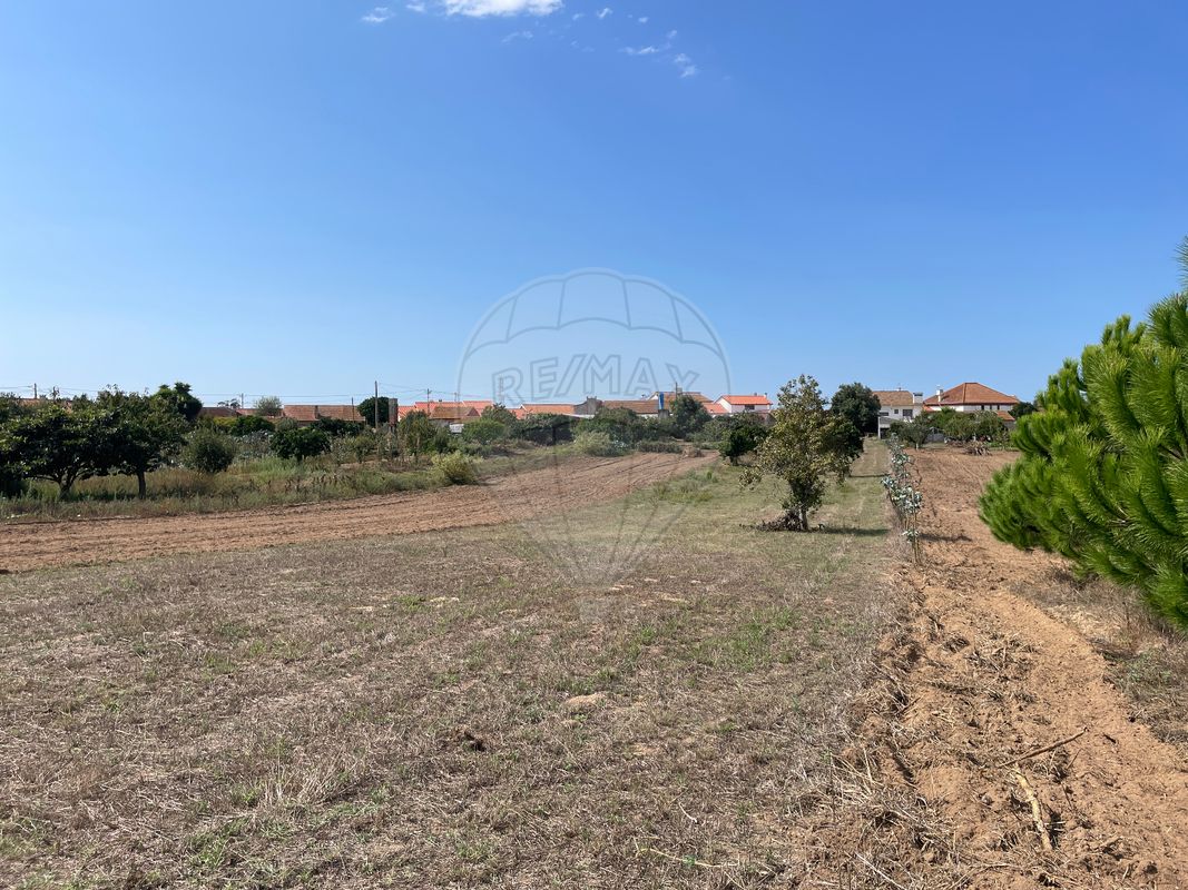 listing-picture-0