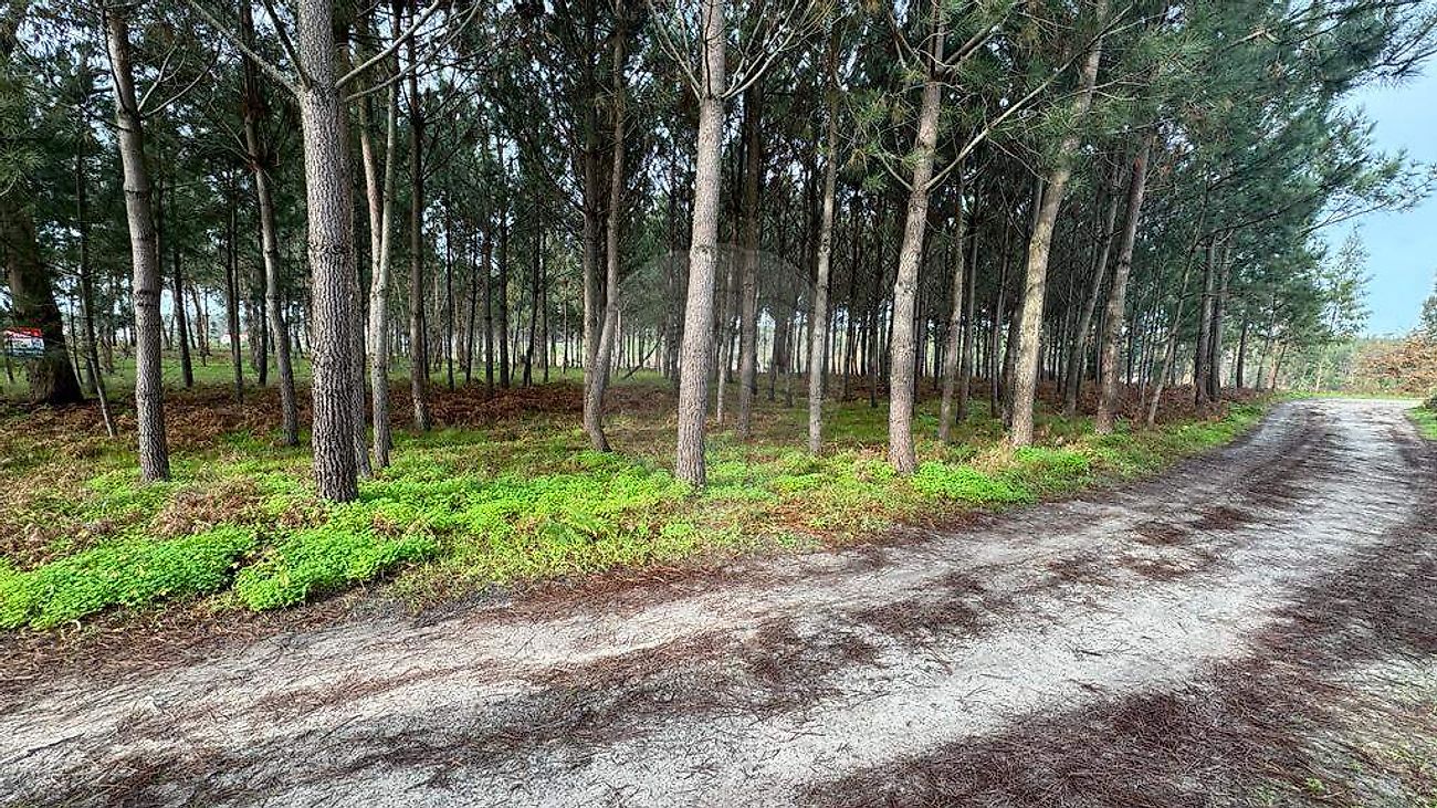 Terreno em Leiria