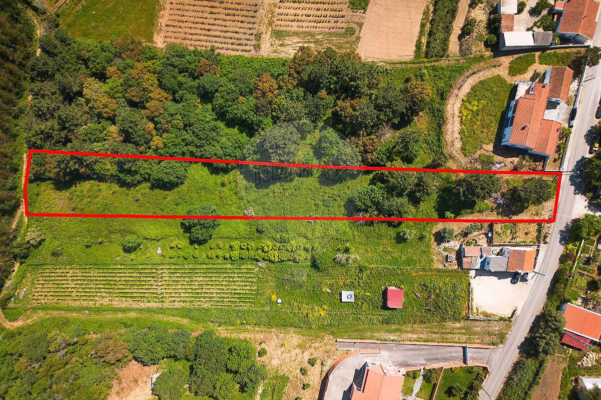 Land for sale in Alcobaça, Portugal — €70,000