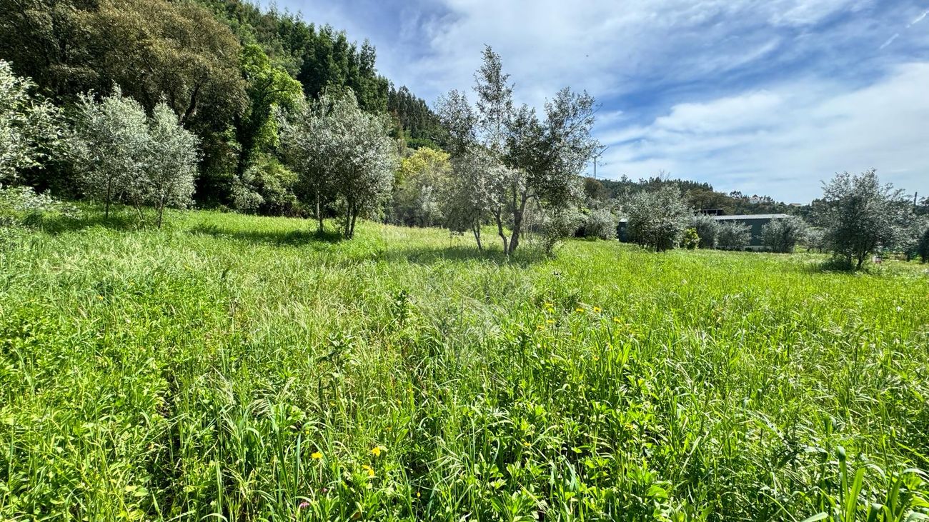 Terreno para venda