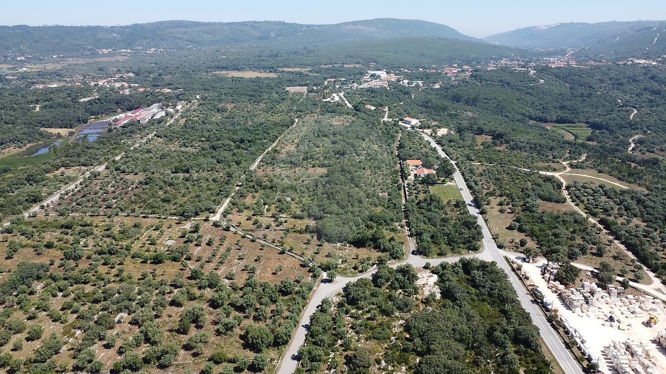 listing-picture-0