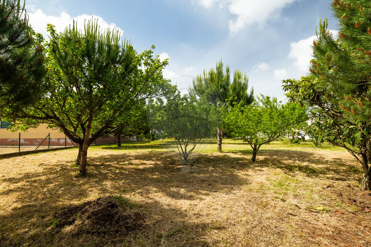 listing 120251282-93 picture-0