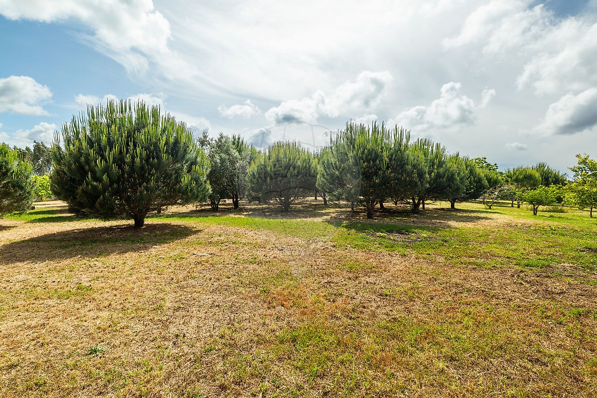 listing 120251282-93 picture-0