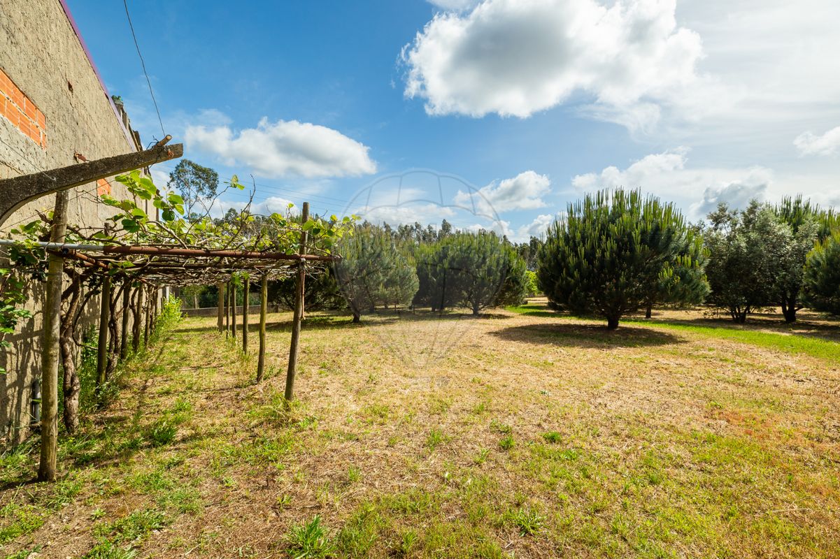 listing 120251282-93 picture-0