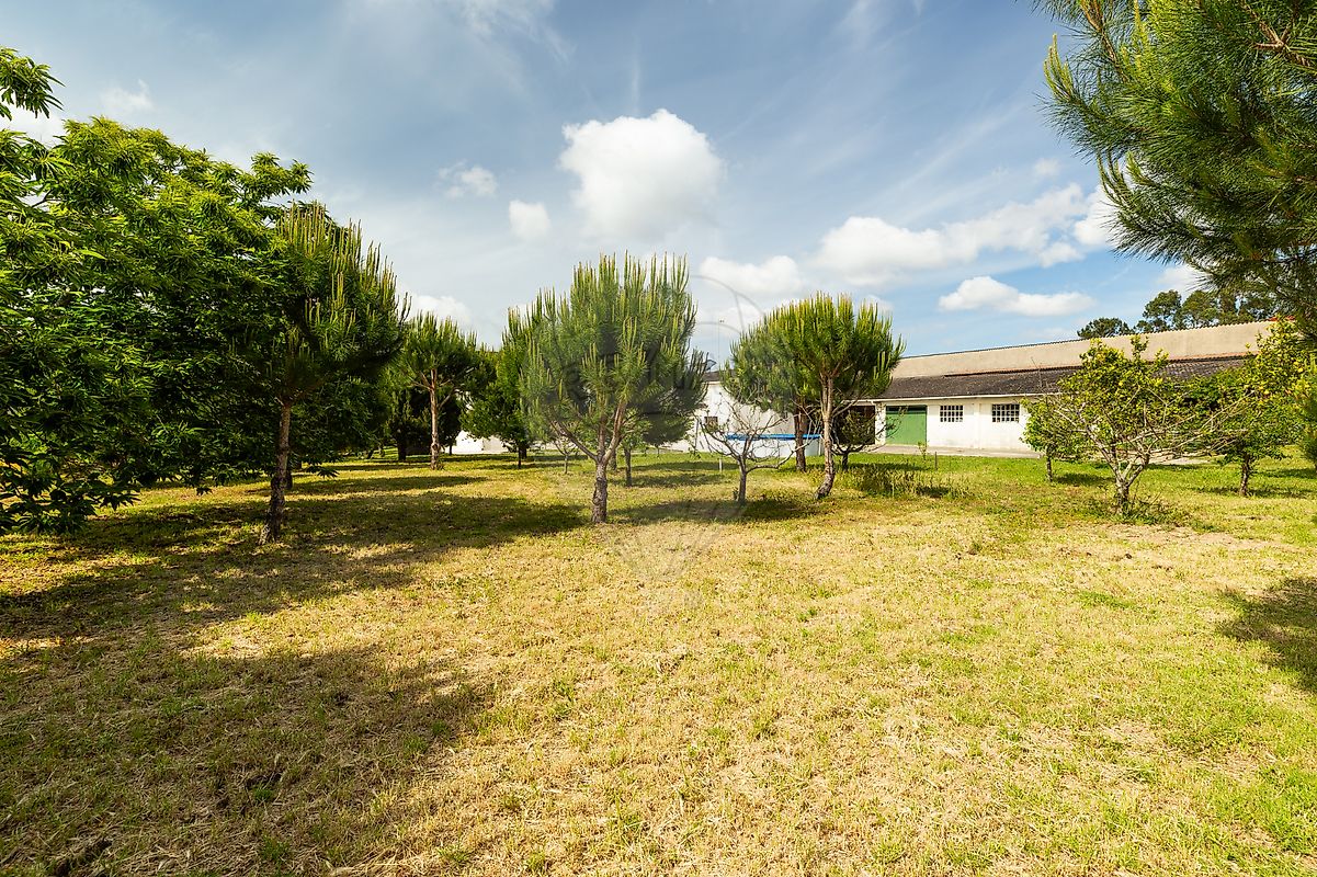 listing 120251282-93 picture-0