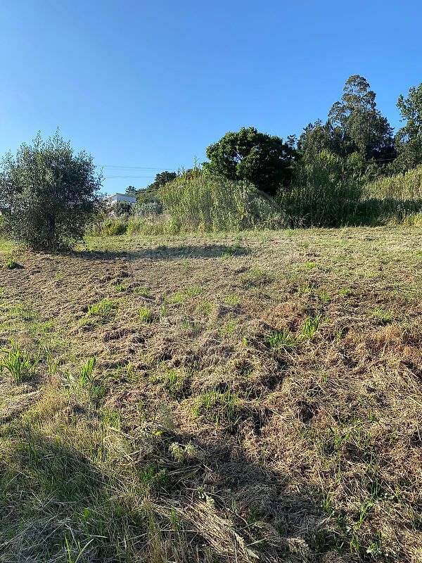 Terreno - Pelariga, Pombal, Leiria