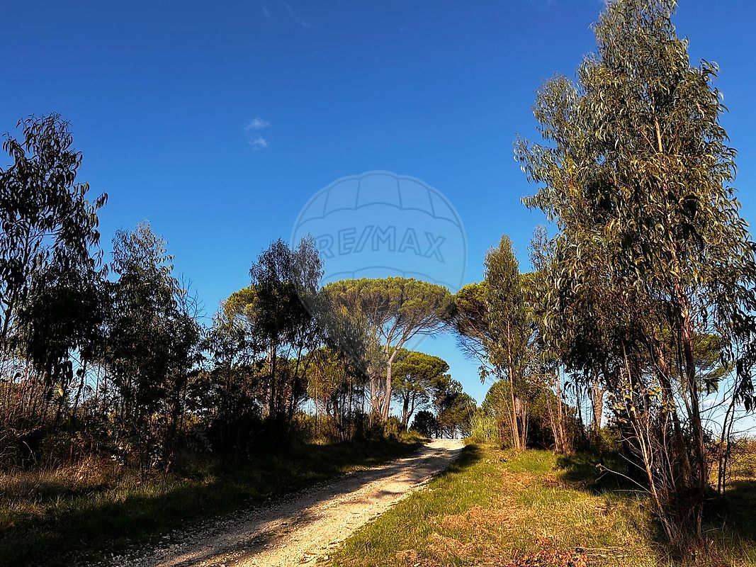 Land for sale in Leiria, Portugal — €380,000