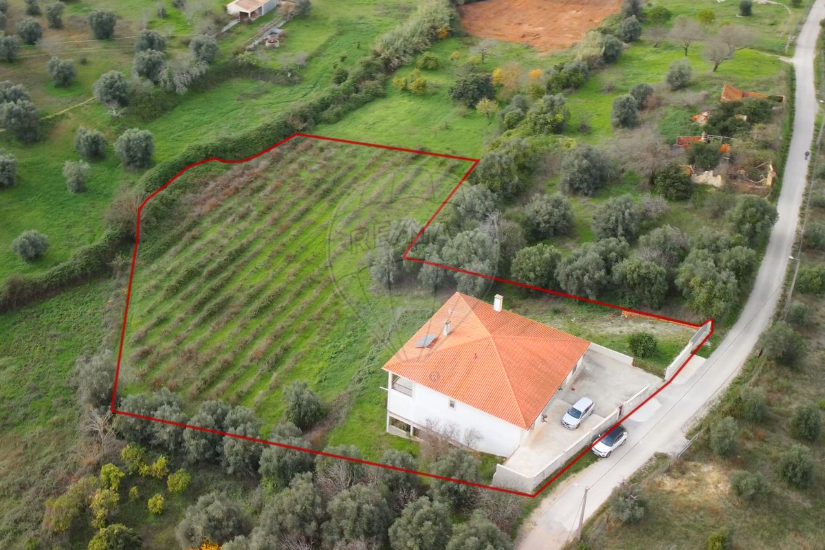 listing 120251399-17 picture-0