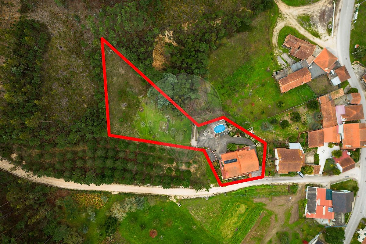 listing 120251223-82 picture-0