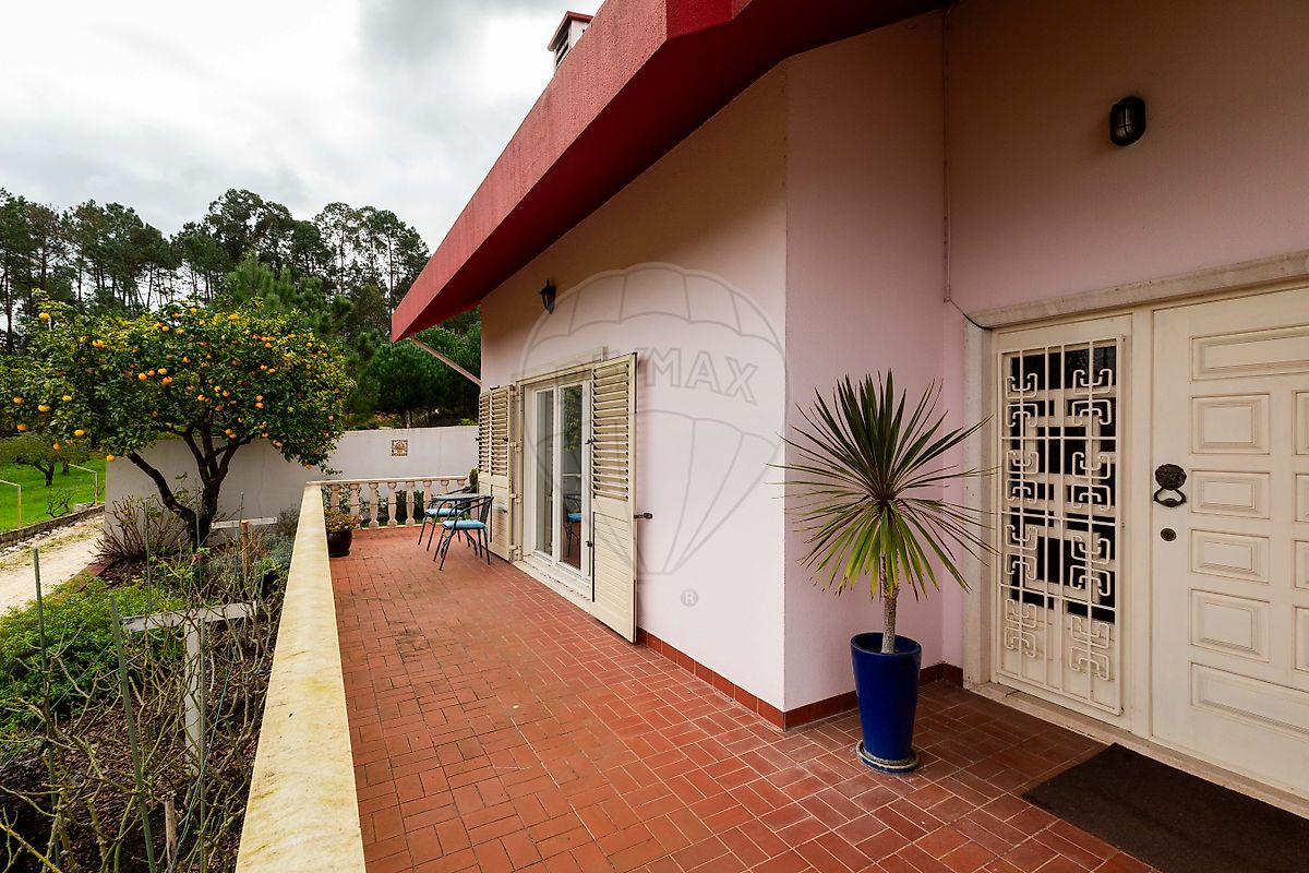 listing 120251223-82 picture-0