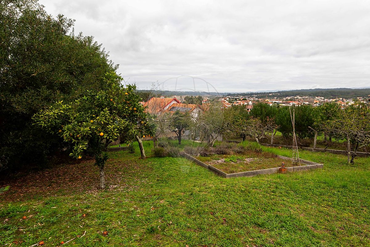 listing 120251223-82 picture-0