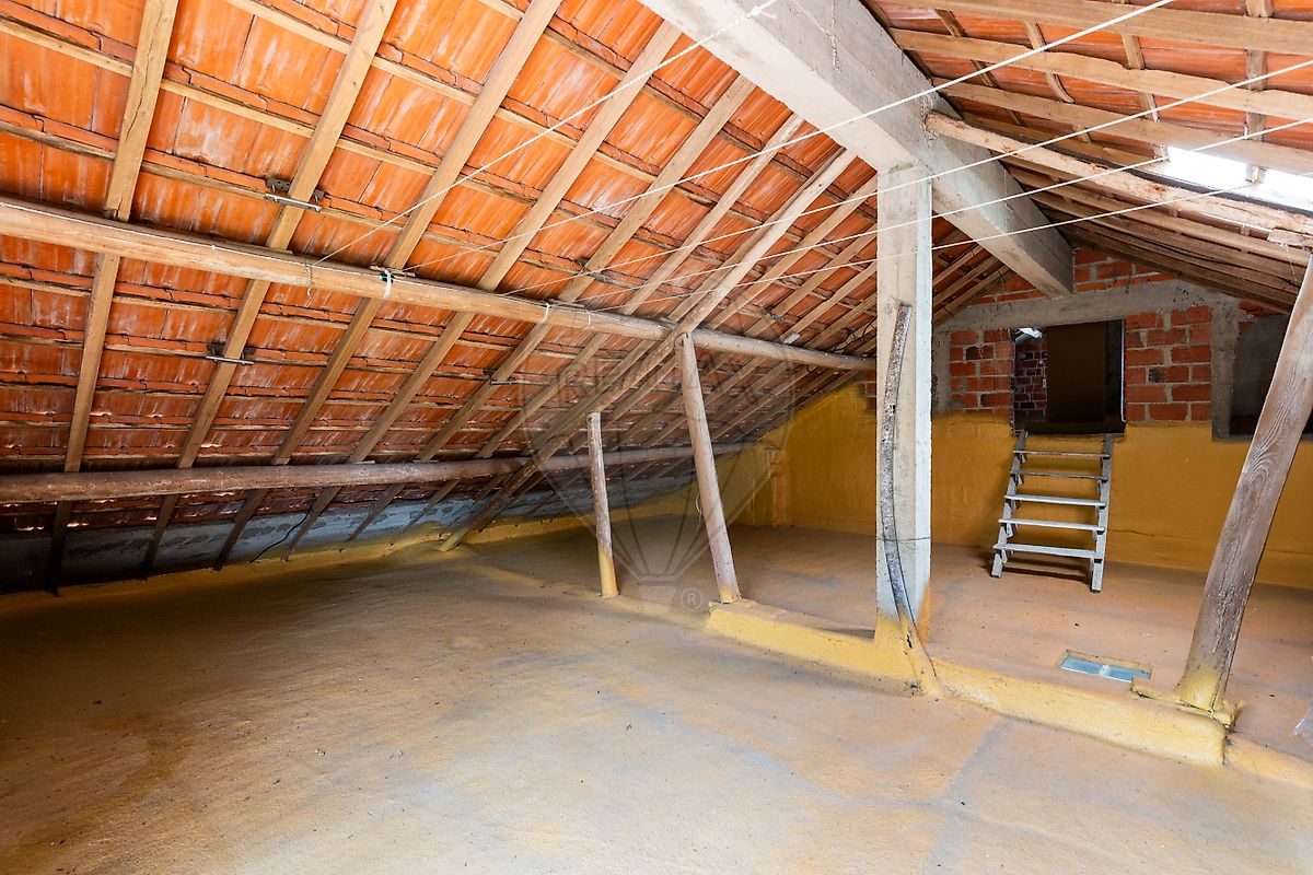 listing 120251223-82 picture-0