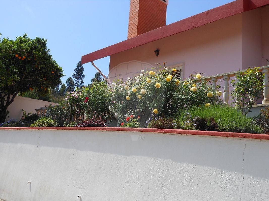 listing 120251223-82 picture-0
