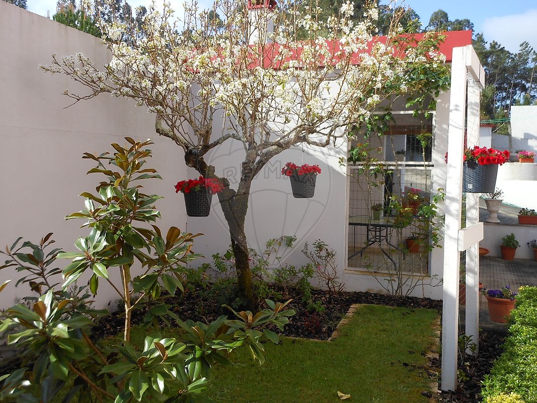 listing 120251223-82 picture-0