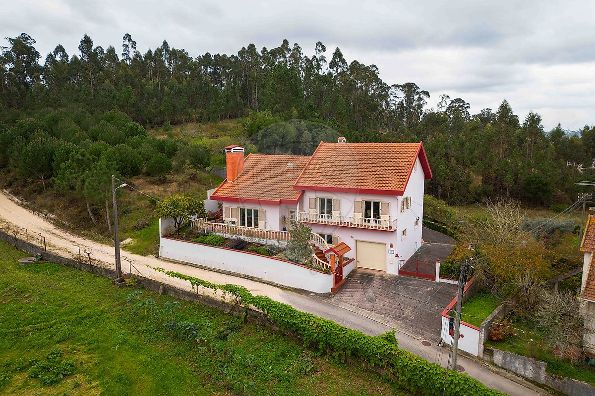 listing 120251223-82 picture-0