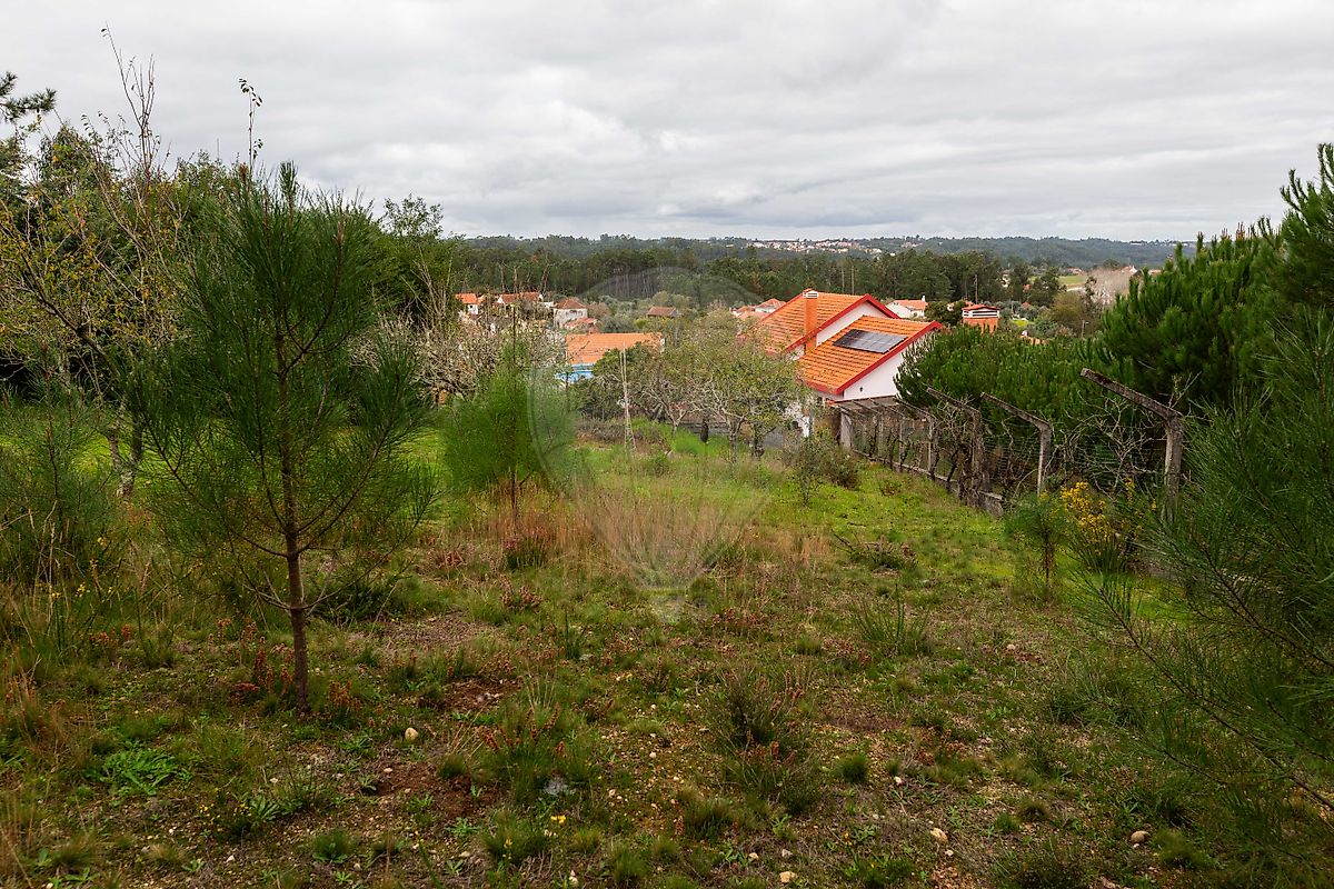 listing 120251223-82 picture-0