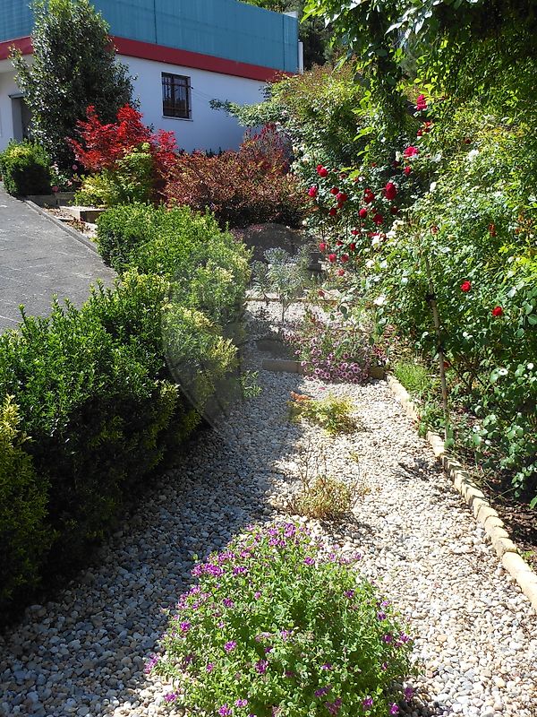 listing 120251223-82 picture-0