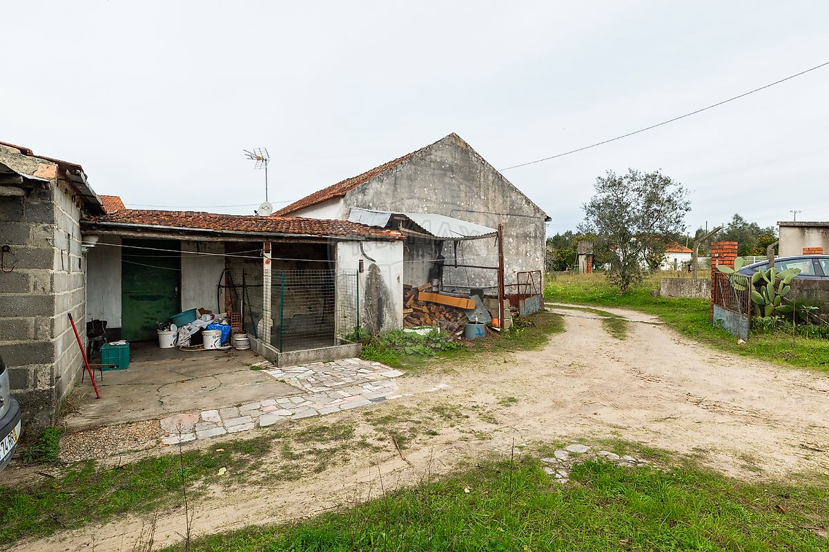 listing-picture-0