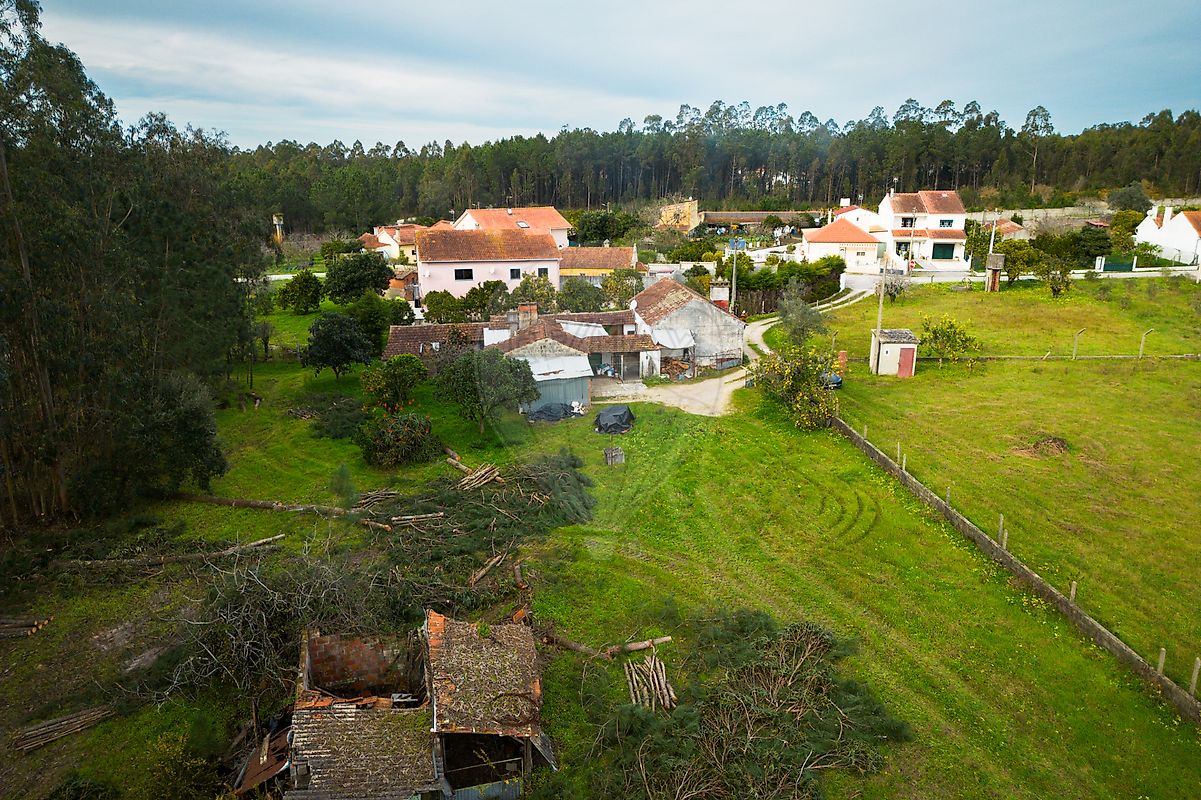listing-picture-0