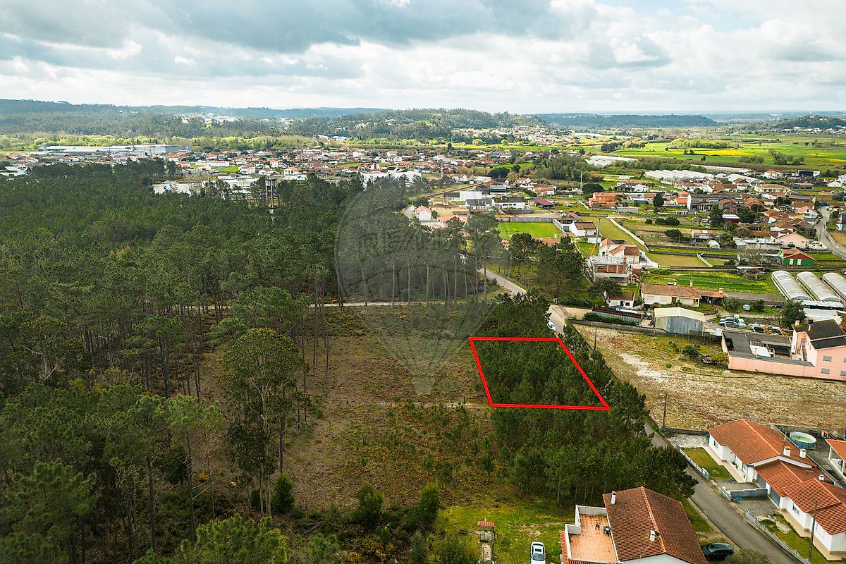Terreno  para venda